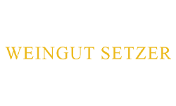 Hans Setzer