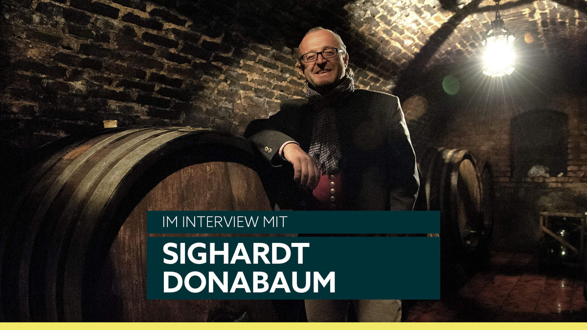 Weingut Donabaum
